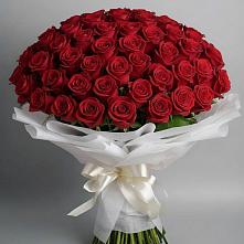 Букет 101 Красная роза Блэк Мэджик в Кыштовке