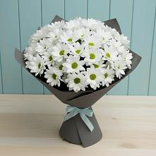 Букет цветов из:  Хризантемы в Кыштовке