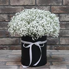 Цветочная композиция из Гипсофила в шляпной коробке в Кыштовке