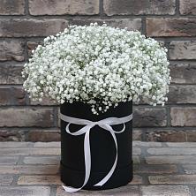 Цветочная композиция из Гипсофила в шляпной коробке в Кыштовке