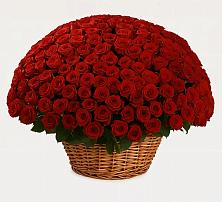 Премиум букет из: Розы в Кыштовке