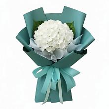 Букет цветов из:  Гортензия в Кыштовке